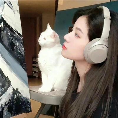 我们在此消失