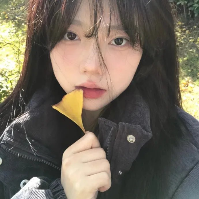 绯闻女孩第一季
